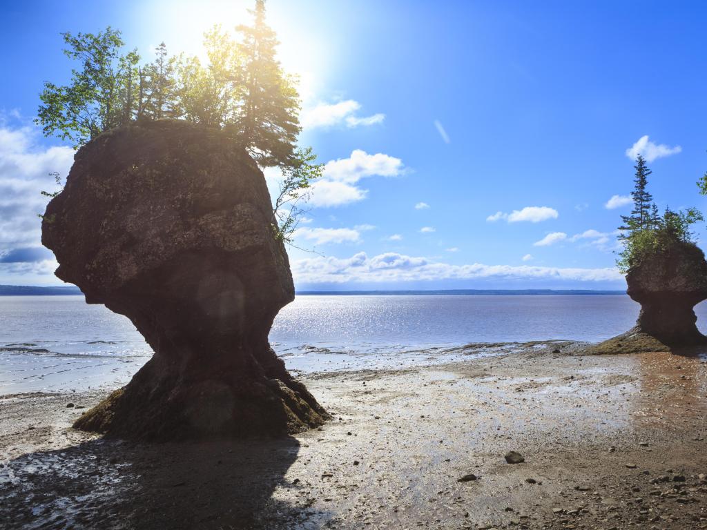 Hopewell Rocks Provincial Park, New Brunswick, Canada taken on a sunny day with the tide out and the rocks in the foreground with trees growing on top.