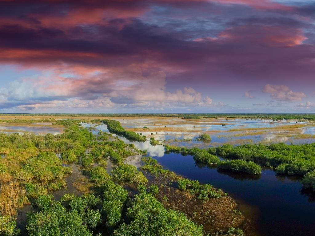 Everglades, Florida, USA taken as a panoramic aerial view with the greenery growing in patches across a large area of water bogs with a dramatic sky above. 