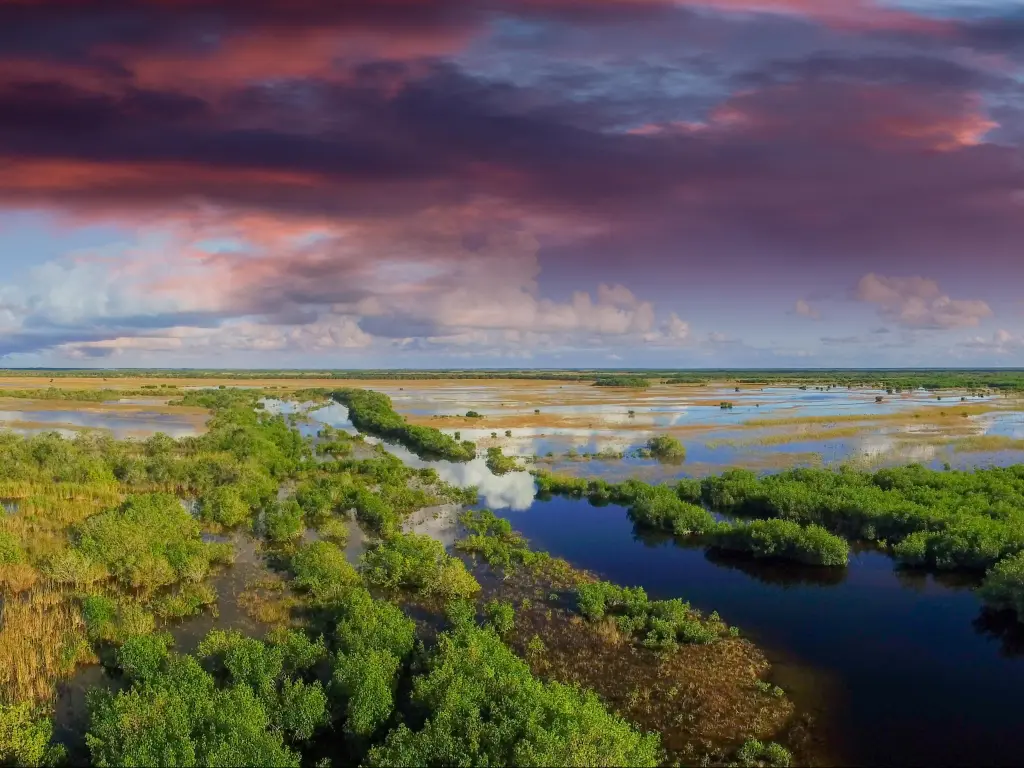 Everglades, Florida, USA taken as a panoramic aerial view with the greenery growing in patches across a large area of water bogs with a dramatic sky above. 