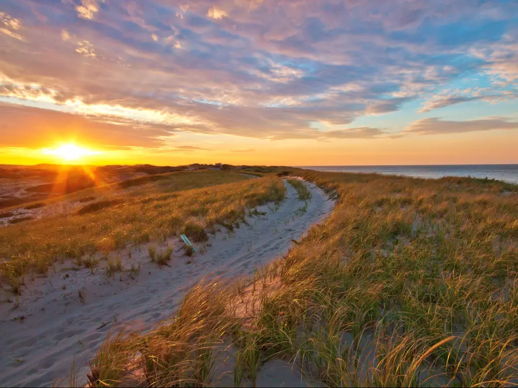 Cape Cod National Seashore, MA, USA with a view of a dune path at sunset along the Cape Cod National Seashore.