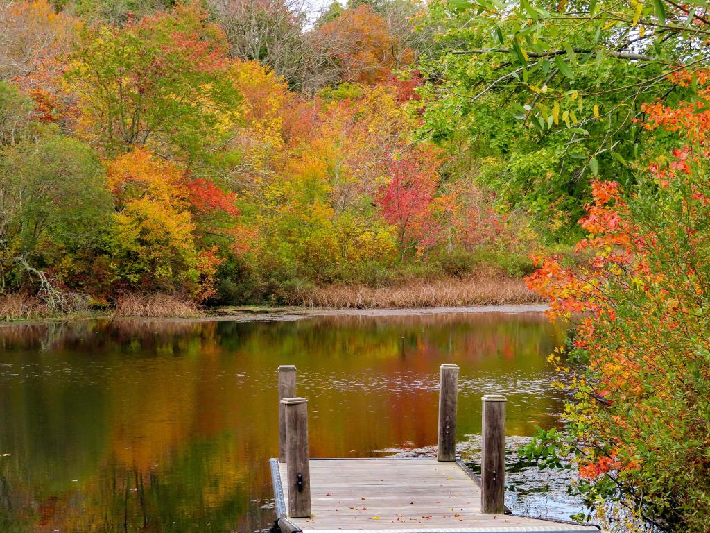 Wooden dock on the Peconic River with autumn foliage across the shores