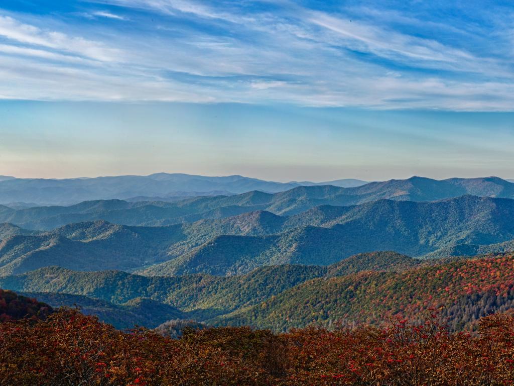 A panorama over the mountain landscape in the fall from the Blue Ridge Parkway in North Carolina