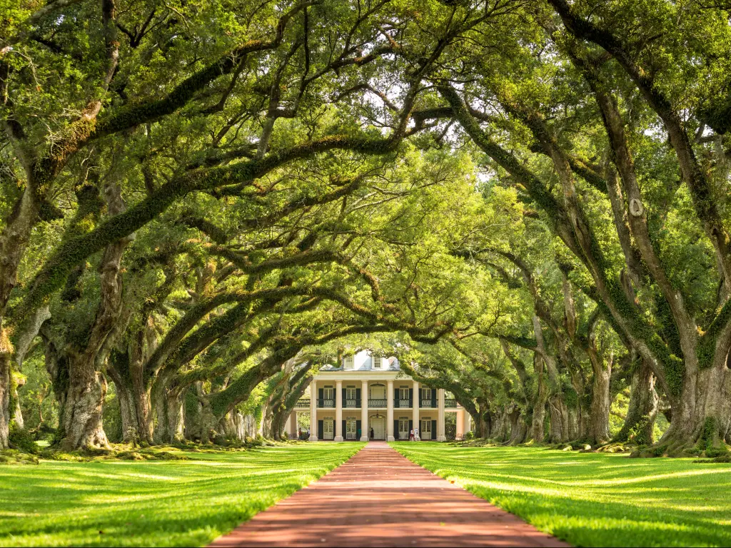 The Oak Alley Plantation near Vacherie is just one of the many amazing plantations along the Great River Road.