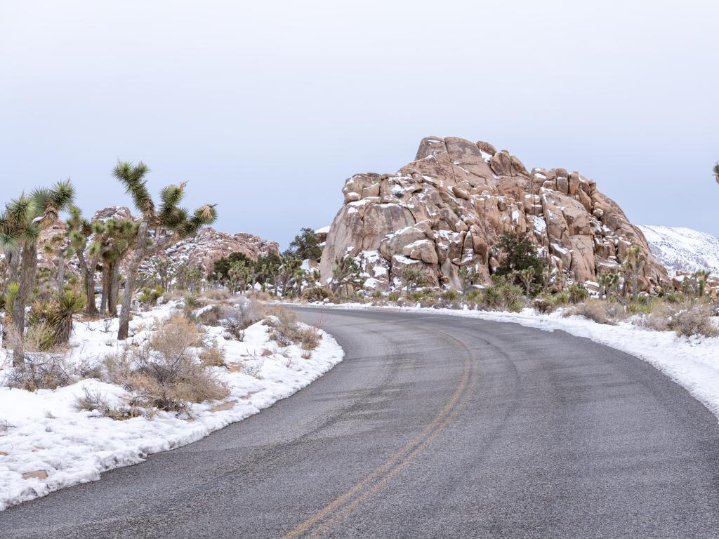 Road curves through a snowy landscape of Joshua trees and boulders in Joshua Tree National Park