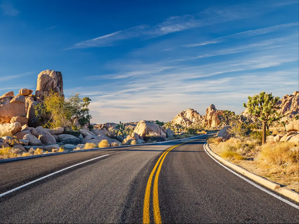 An empty road along Joshua Tree National Park with rock different rock formation and Joshua tree on the side of the road in a clear morning sky
