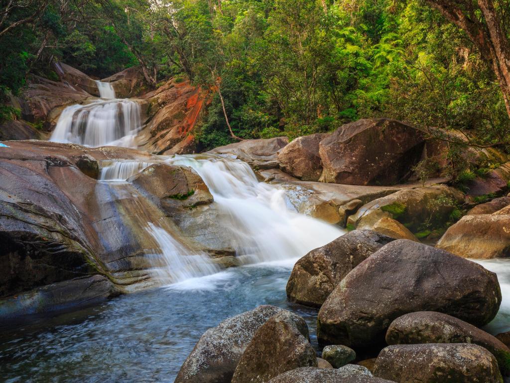 Cascading Josephine Falls in the forest