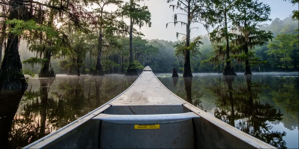 Dallas to Caddo Lake Road Trip