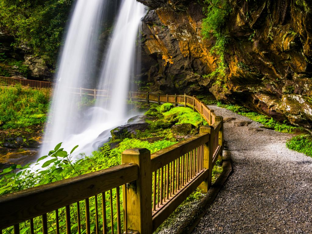 Trail behind Dry Falls, Nantahala National Forest