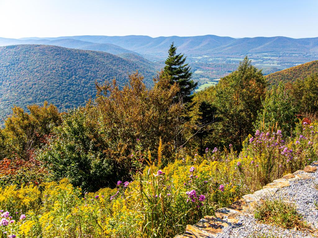 View from the side of Mount Greylock in the fall in Lanesborough, Massachusetts, USA on a sunny day. 