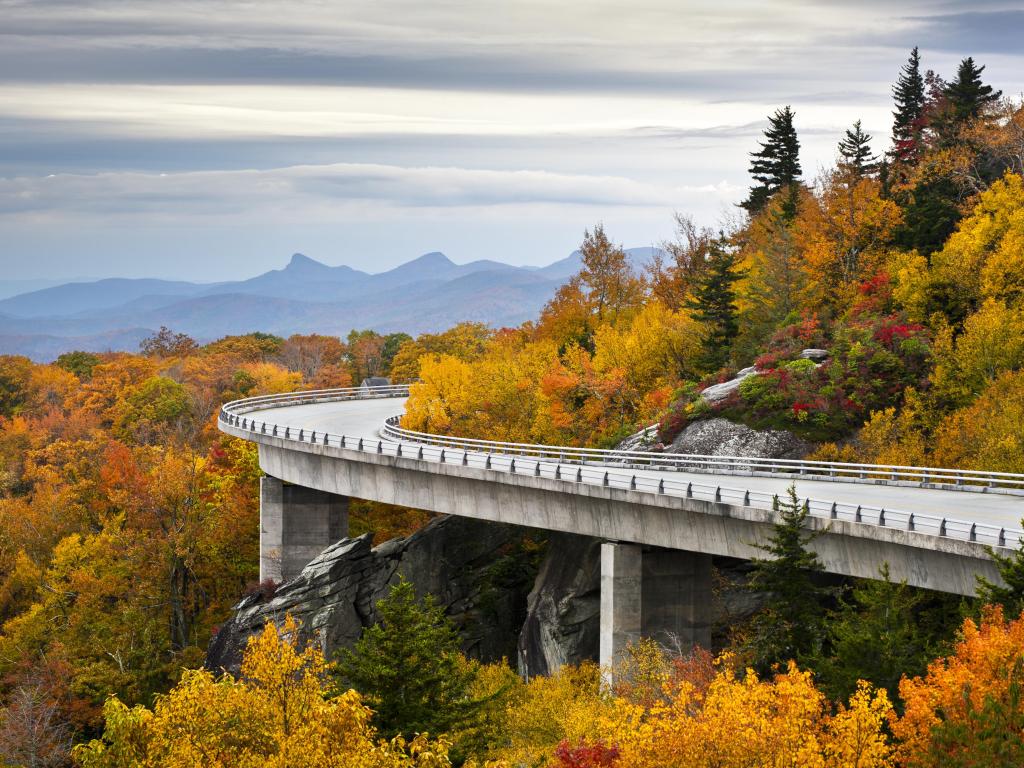 Blue Ridge Parkway Western North Carolina. Linn Cove Viaduct surrounded by fall foliage with Grandfather Mountain in the background.
