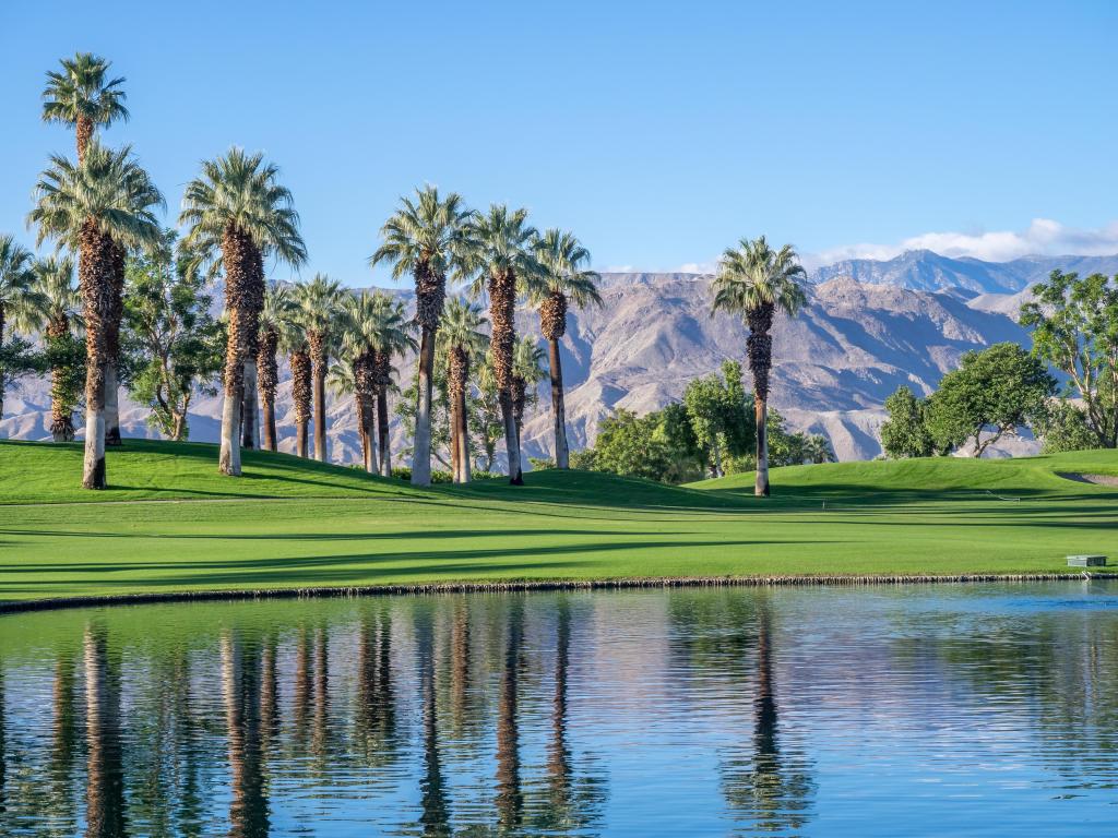 Tall palm trees above lake with manicured green lawn and mountains behind