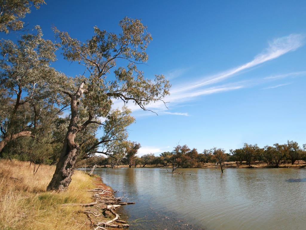 Darling River in Australia's New South Wales flowing through the Outback.