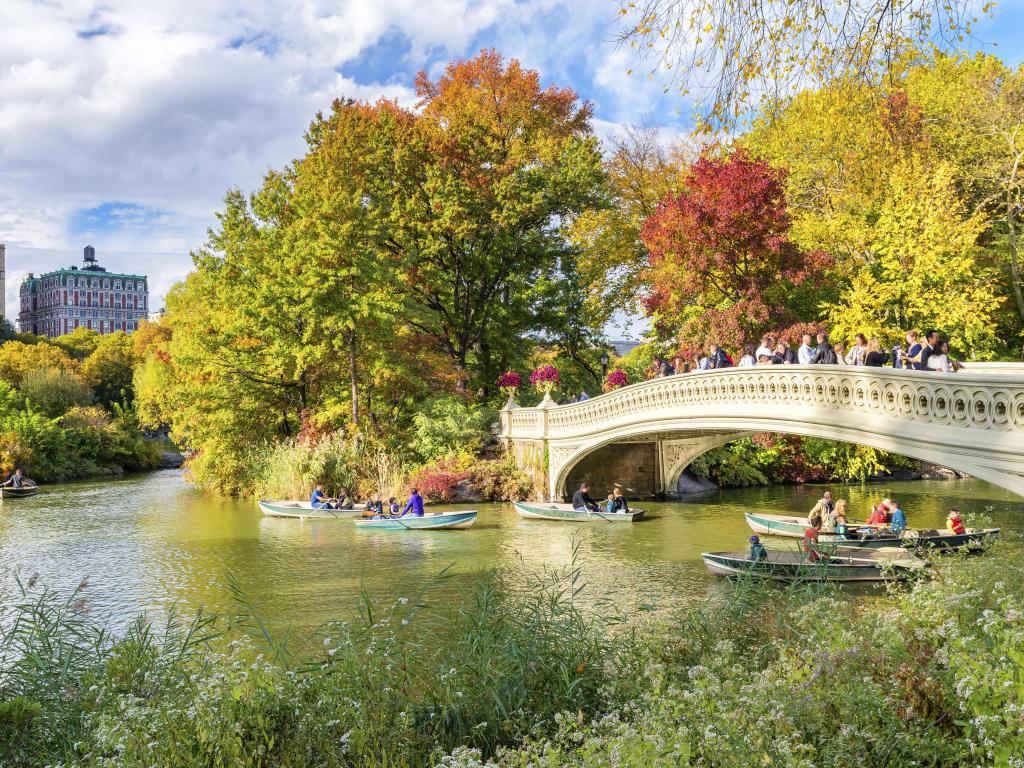 Beautiful foliage colors of New York Central Park.