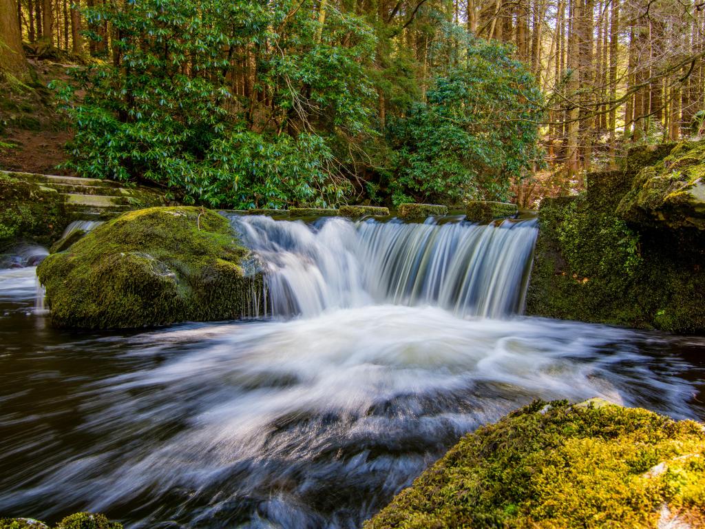 Stepping Stones Over a River and small waterfall in Tollymore Forest