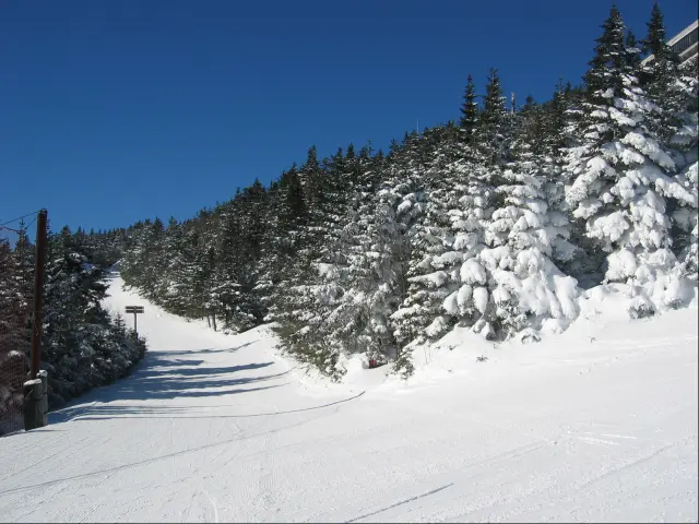 A ski run through snow-covered trees in Killington, Vermont.