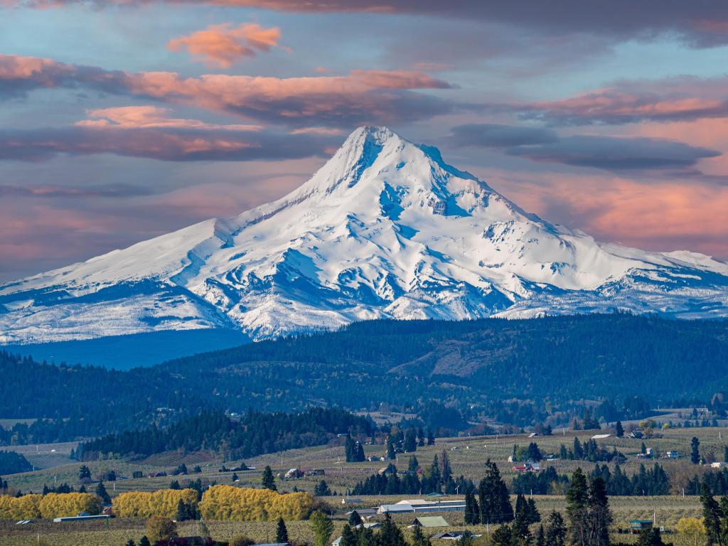 Orchards of Hood River Valley with snow covered Mount Hood in the background