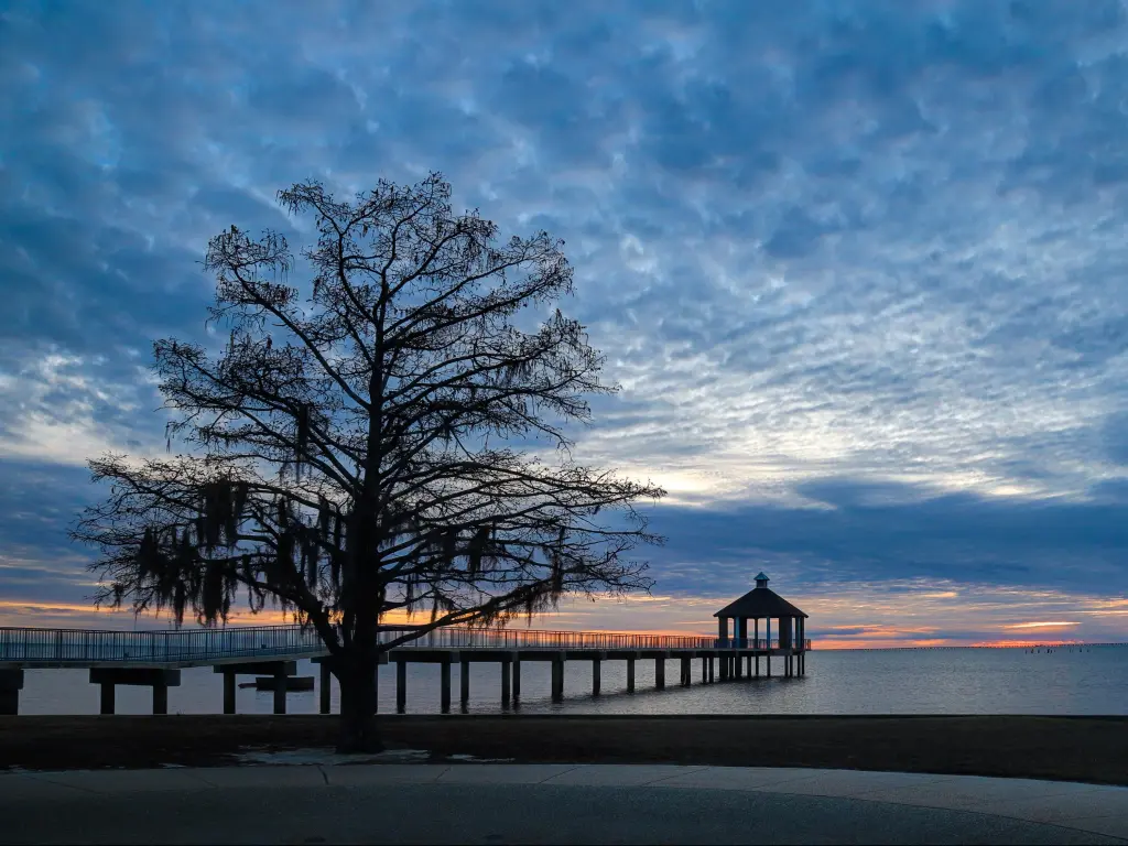 Fontainebleau State Park, Louisiana with a sunset over Lake Pontchartrain seen from Fontainebleau State Park, a trees silhouette in the foreground.