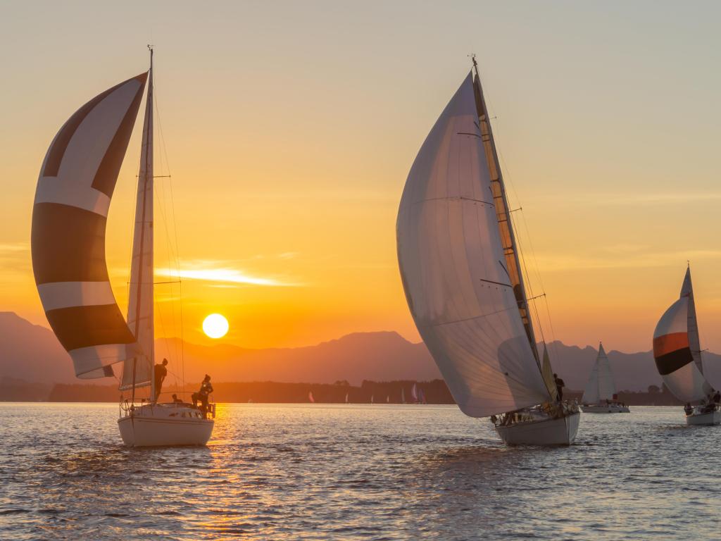Yachts under sail and silhouette of setting sun on Tauranga harbor, New Zealand