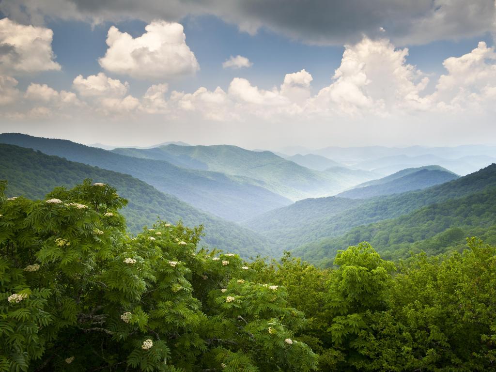 Blue Ridge Parkway Scenic Mountains Overlook Summer Landscape Asheville NC at Craggy Gardens in WNC.