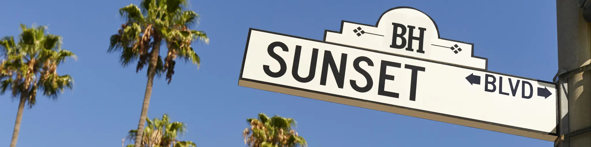 Sunset Boulevard street sign with palm trees in the background.