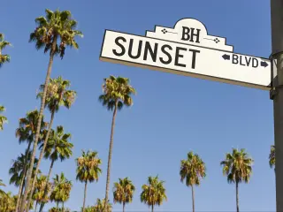 Sunset Boulevard street sign with palm trees in the background.