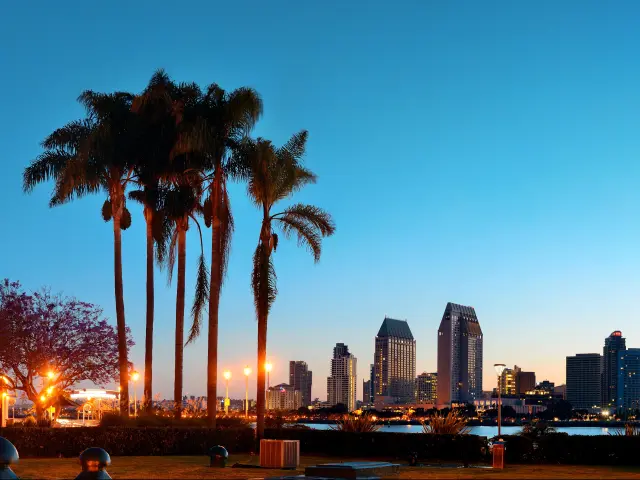 San Diego skyline at dawn with blue sky and black palm tree silhouettes