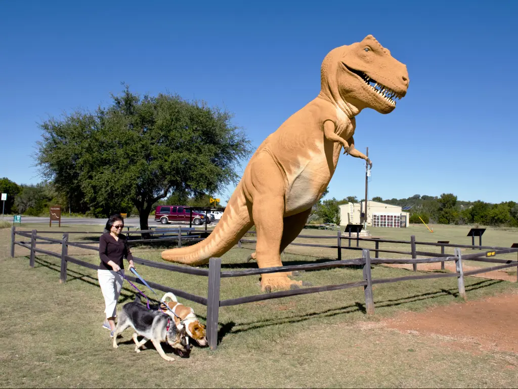 A T-rex installation at the entrance to the Dinosaur Valley State Park in Glen Rose, Texas.