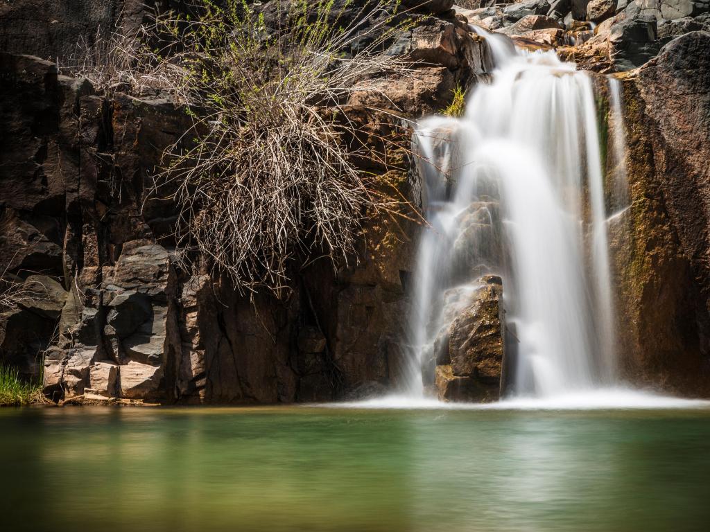 Tonto National Forest, Payson, Arizona, USA with a view of Gordon Creek Falls, a green lake in the foreground and rocky cliffs against the waterfall. 