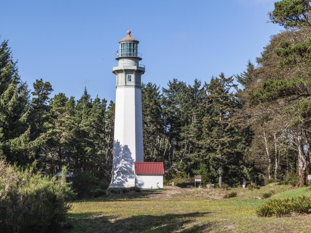 A tall lighthouse positioned among the trees on a sunny day