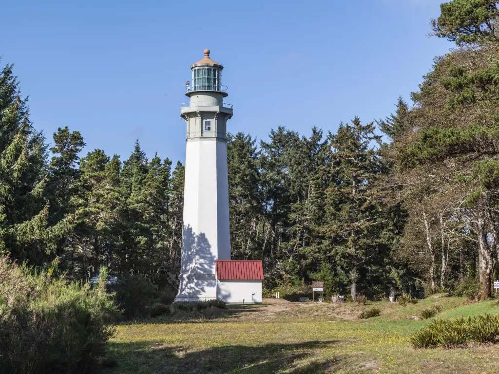 A tall lighthouse positioned among the trees on a sunny day