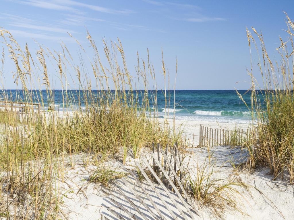 Sand dunes at Pensacola Beach, Florida on Gulf Islands National Seashore