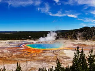 Grand Prismatic Spring in Yellowstone National Park, Wyoming, USA taken on a sunny day with trees in the foreground and the rainbow colored water in the middle.
