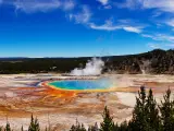 Grand Prismatic Spring in Yellowstone National Park, Wyoming, USA taken on a sunny day with trees in the foreground and the rainbow colored water in the middle.