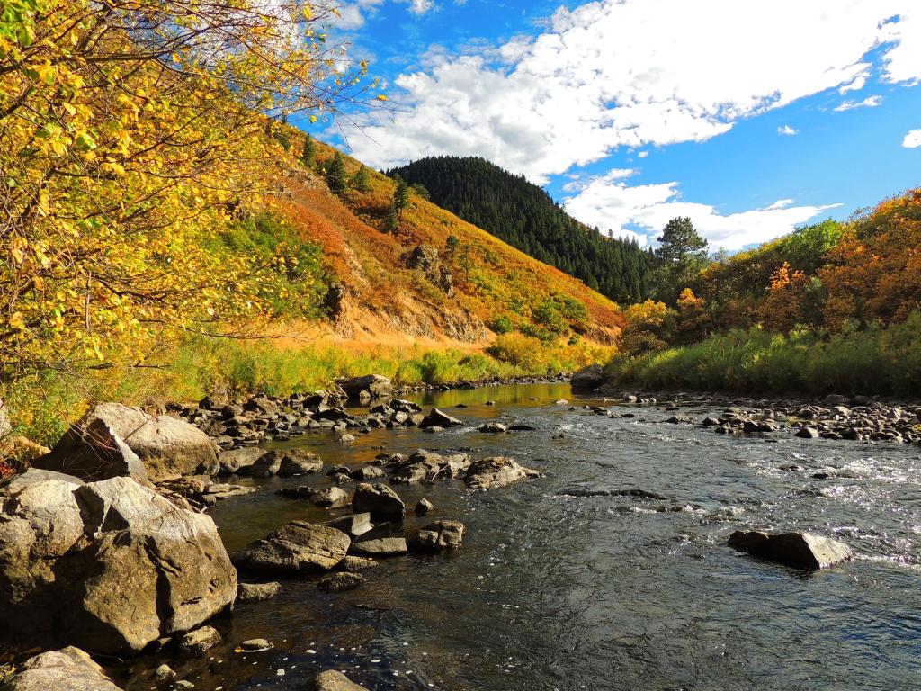 Platte River, Waterton Canyon, Littleton, Colorado, USA taken at fall with a tranquil scene next to the South Platte River with hills and trees and a river in the foreground.