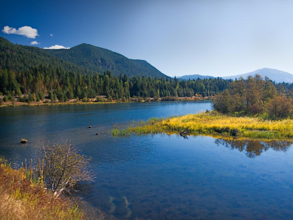 Lakeland with meadow in Montana in Kaniksu National Forest on a clear day.