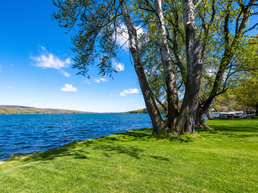 Looking North on Honeoye Lake across the blue waters with a shady tree on the shoreline, Finger Lakes Region of New York