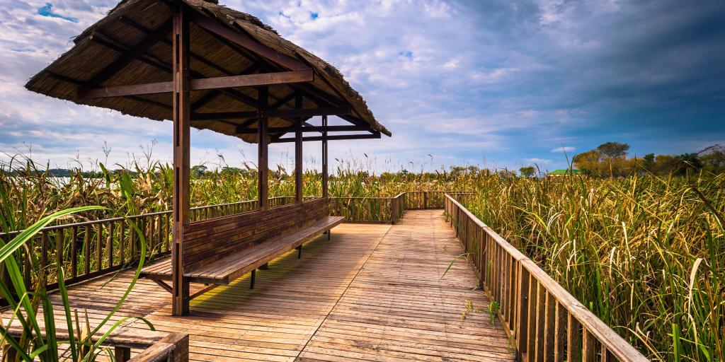 A boardwalk and seat surrounded by long grass at the Provincial Ibera park at Colonia Carlos Pellegrini, Argentina
