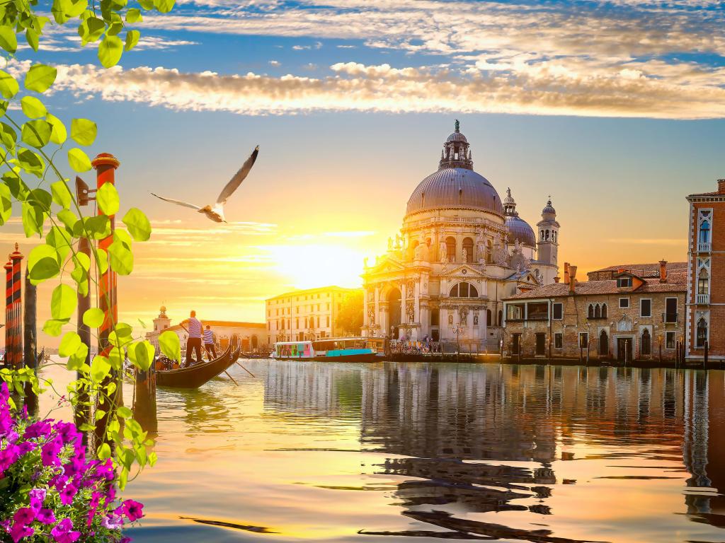 Ride on gondolas along the Grand Canal in Venice, Italy