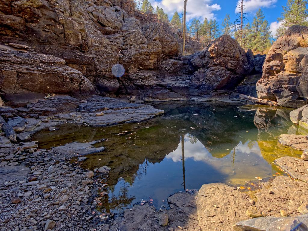 Kaibab National Forest, Williams, Arizona, USA taken near one of several natural ponds near Sycamore Falls known as the Pomeroy Tanks. 