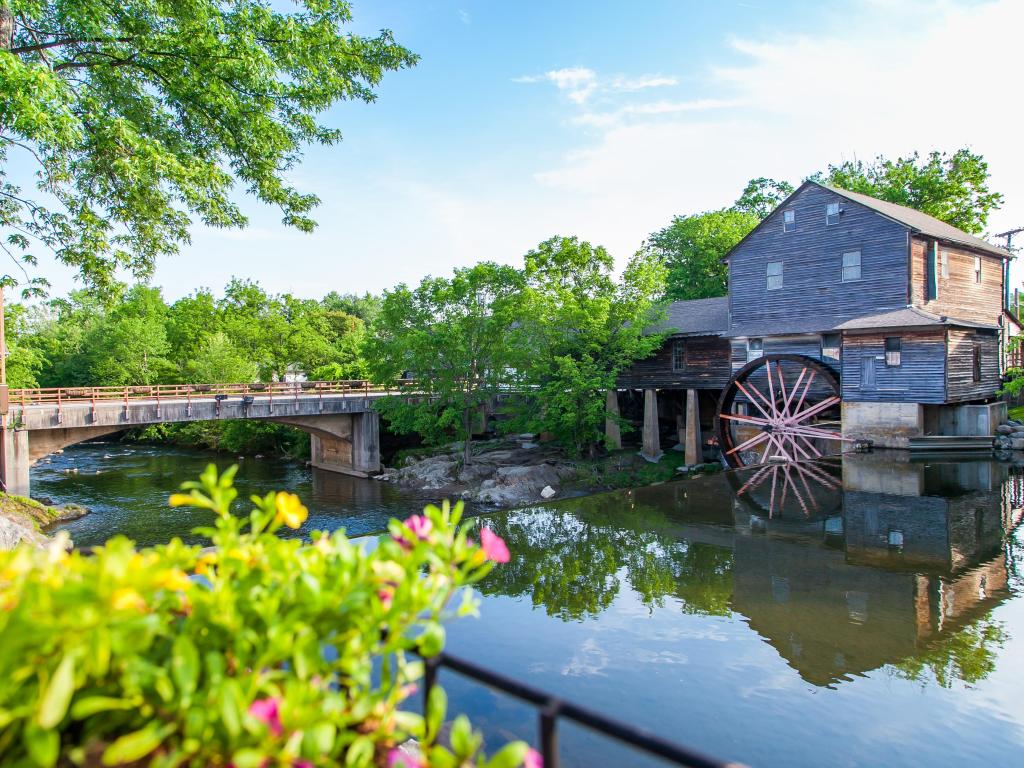 Old water mill by glassy water with blue sky and flowers in the foreground