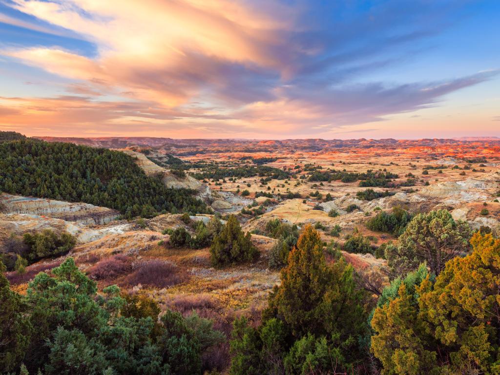 Theodore Roosevelt National Park, North Dakota at sunrise with the stunning colors of the wildflowers and trees and the rocky lands into the distance. 