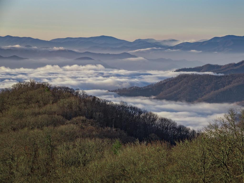 Great Smoky Mountains National Park, North Carolina, USA taken during early morning with low fog/cloud above the tree covered mountains. 