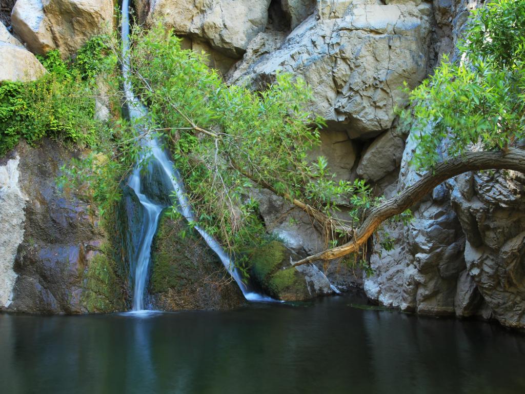 Darwin's Falls, Death Valley National Park, California, USA with a rock and waterfall and river in the foreground surrounded by tree branches.