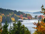 The ocean as seen through fall foliage at Acadia National Park in Maine, with a wooden hut on a jetty 
