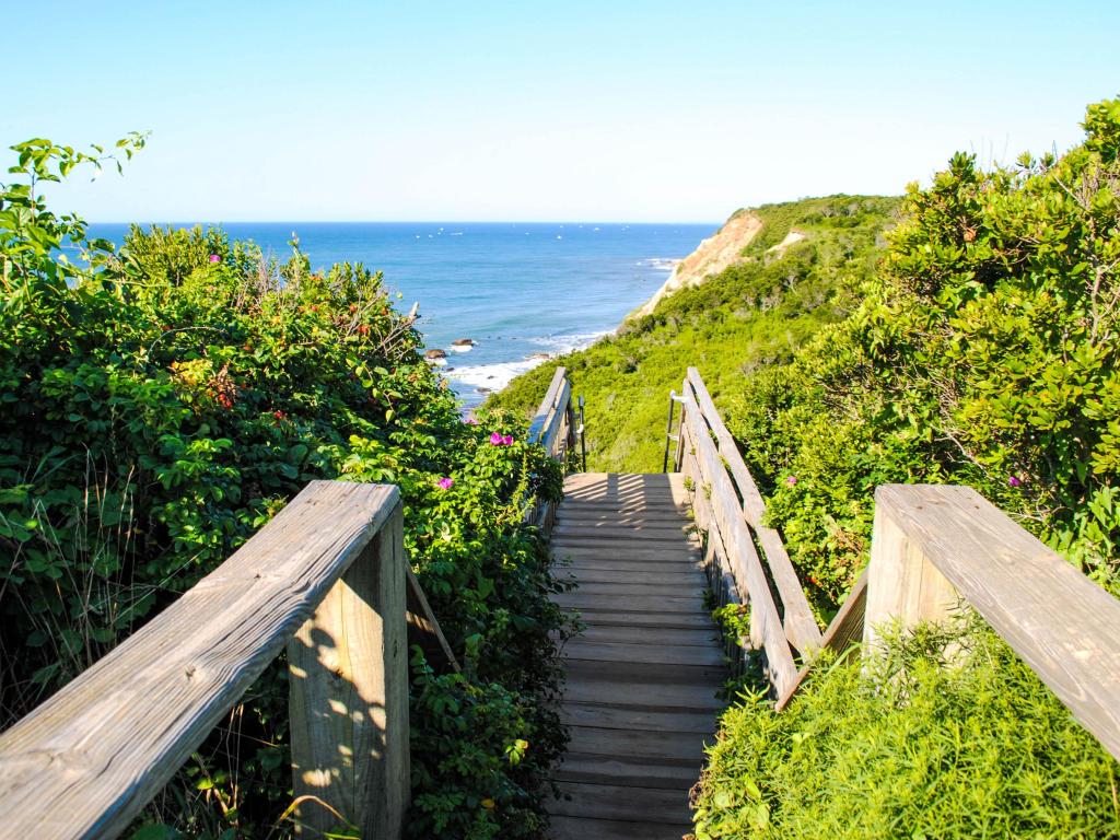 Beautiful wooden stairs, framed by greenery, leading towards the ocean