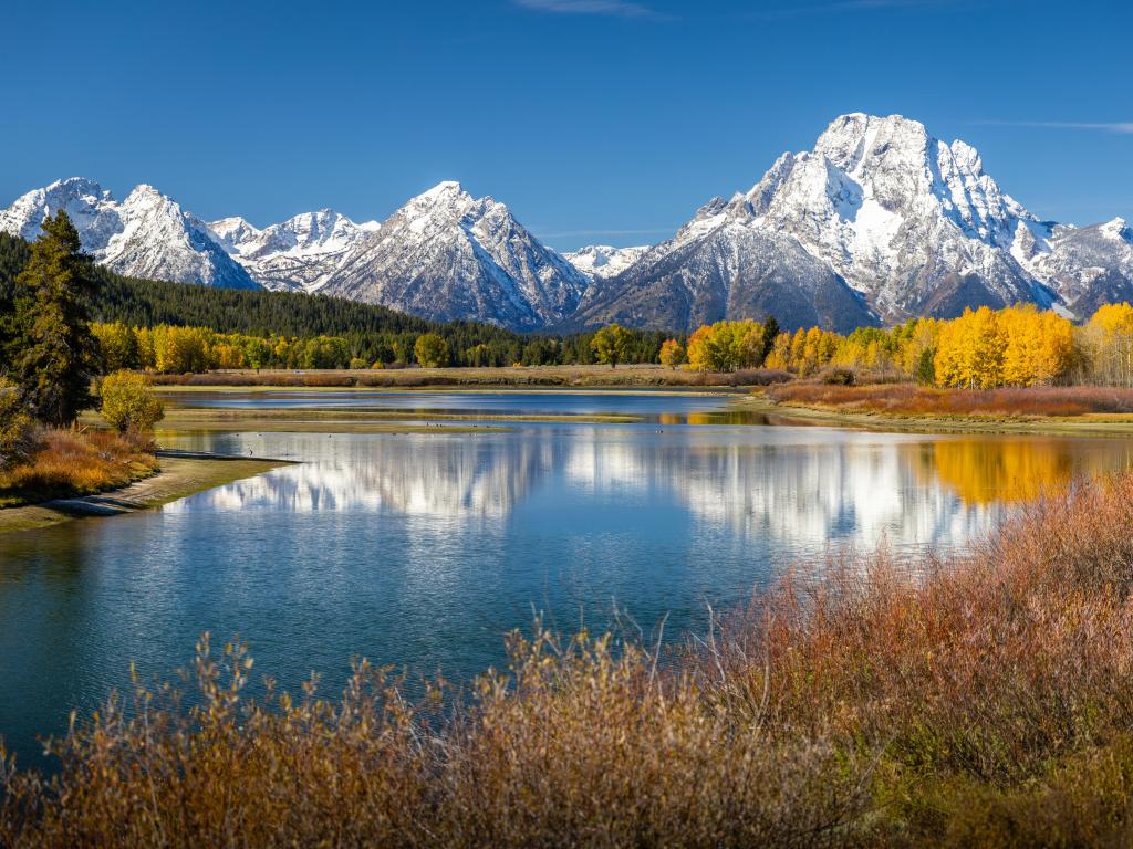 Grand Teton National Park, Wyoming, USA with a view of Mount Moran from Oxbow Bend beside Snake River of Grand Teton, Wyoming. Color of tees and environment changing due to autumn change to winter.