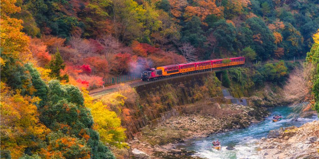 A train going through autumn leaves on the Sagano Scenic Railway, Kyoto 