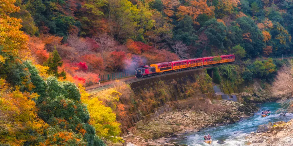 A train going through autumn leaves on the Sagano Scenic Railway, Kyoto 