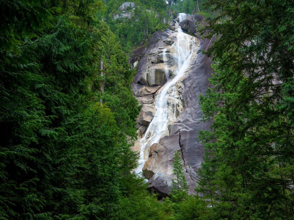 Shannon Falls, Canada with a beautiful waterfall surrounded by tall green trees.