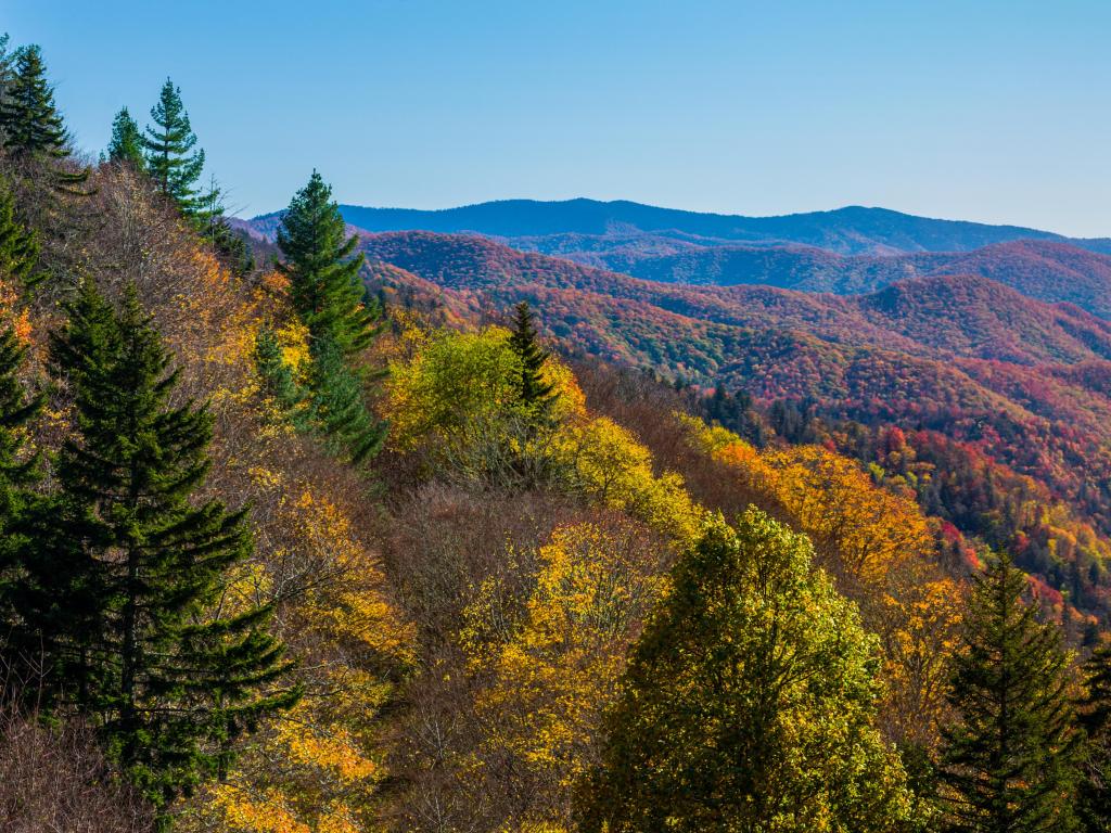 Autumn Scenics in the Great Smoky Mountains National Park